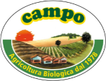 Campo Campo