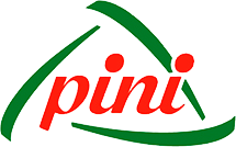 Pini Pini